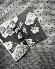 princess of souls hundred kingdoms series book 2 by alexandra christo