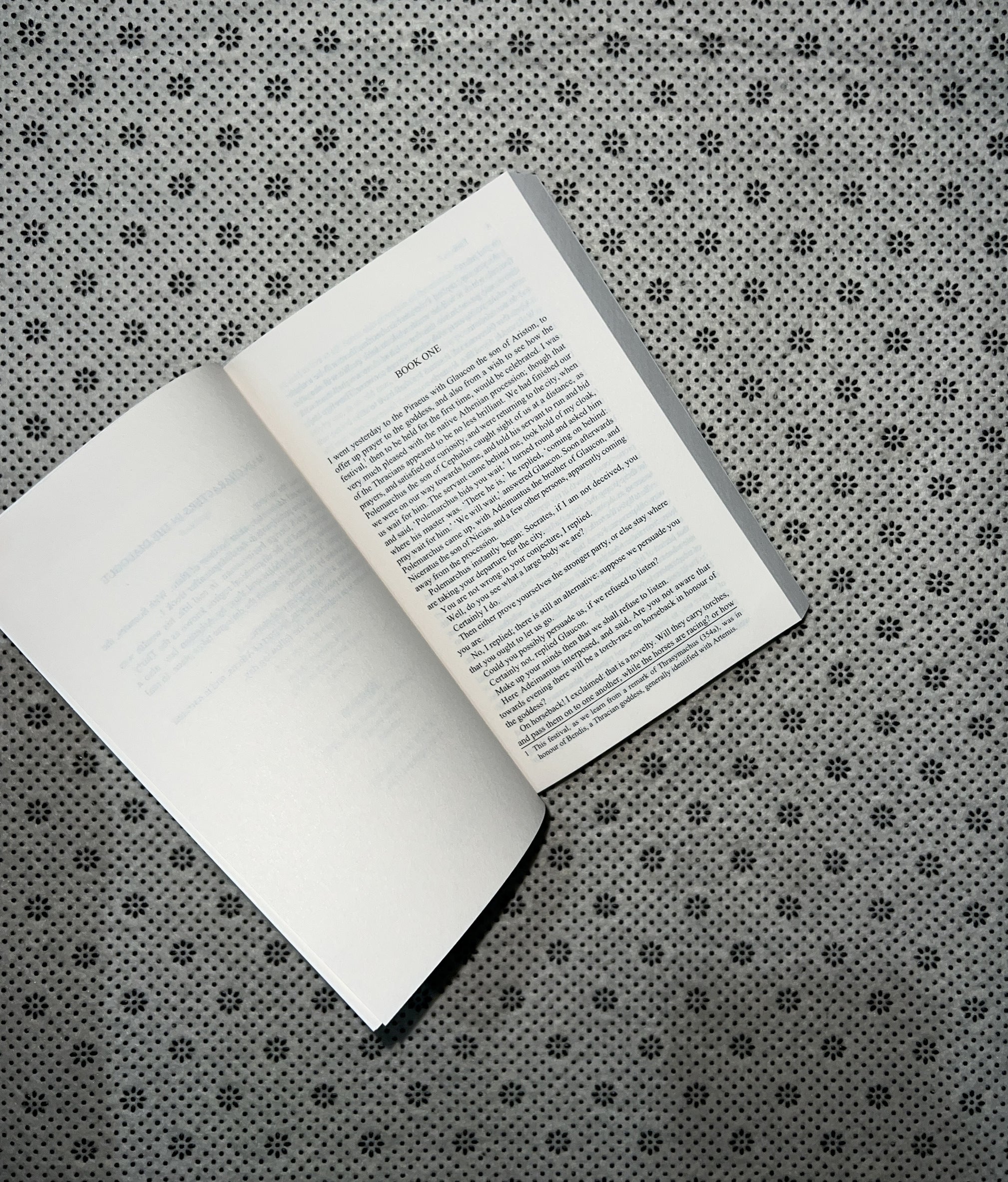 REPUBLIC (Readings Classics) by Plato