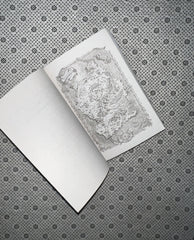 THE GILDED CAGE: The Prison Healer Series (book 2) by Lynette Noni