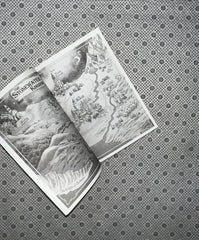 THE KNIGHT AND THE MOTH by Rachel Gillig