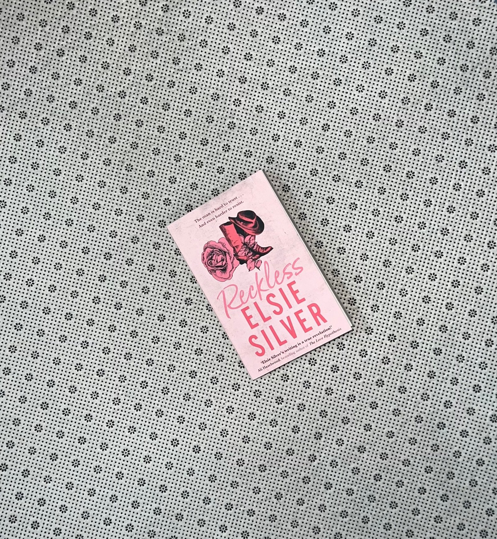 reckless chestnut springs series book 4 by elsie silver