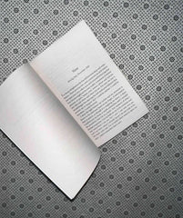 sometimes i lie by alice feeney