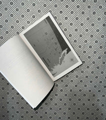 wild eyes rose hill series book 2 by elsie silver