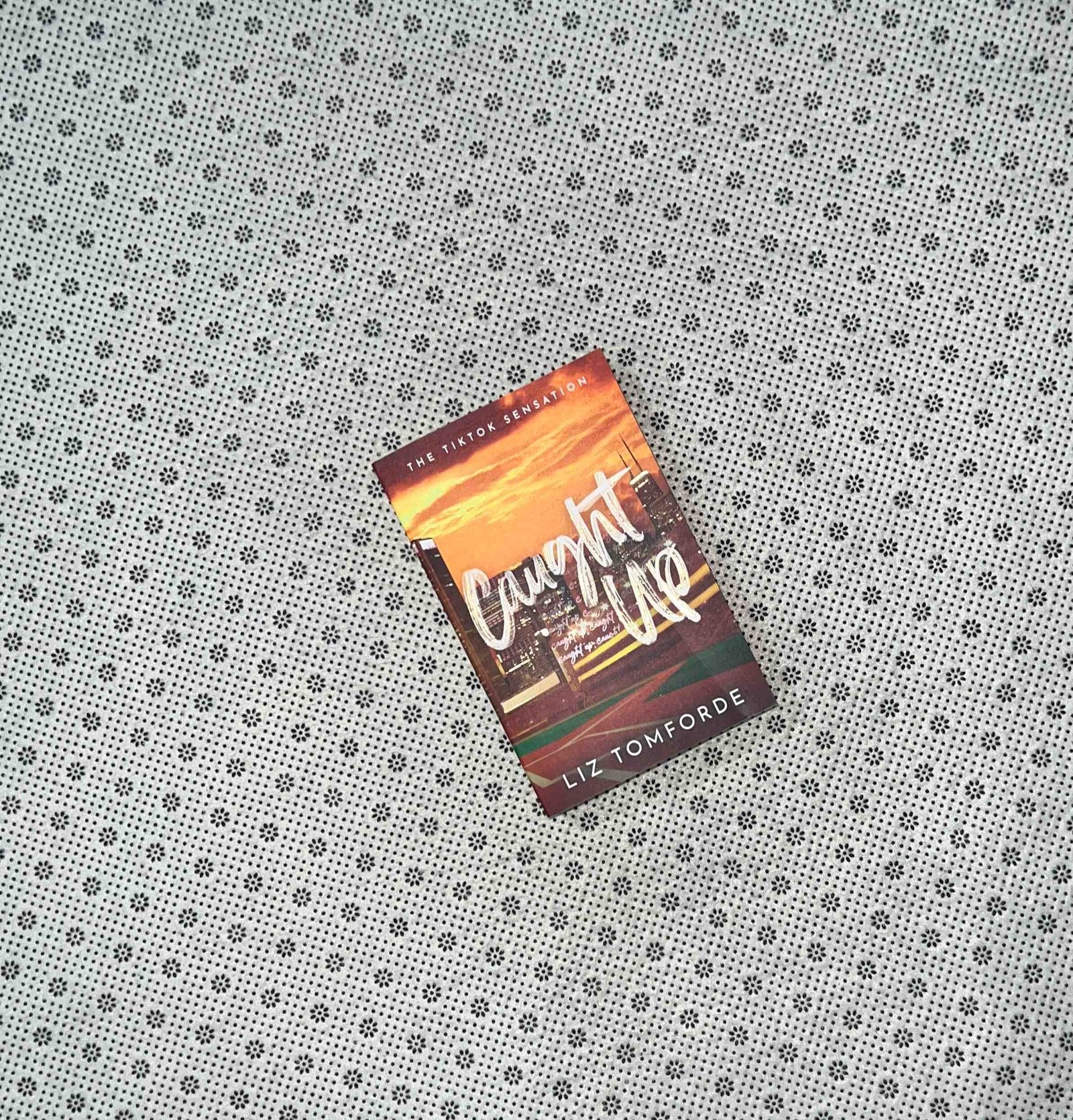 caught up windy city series book 3 by liz tomforde