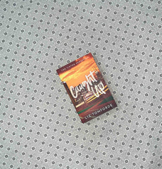 caught up windy city series book 3 by liz tomforde