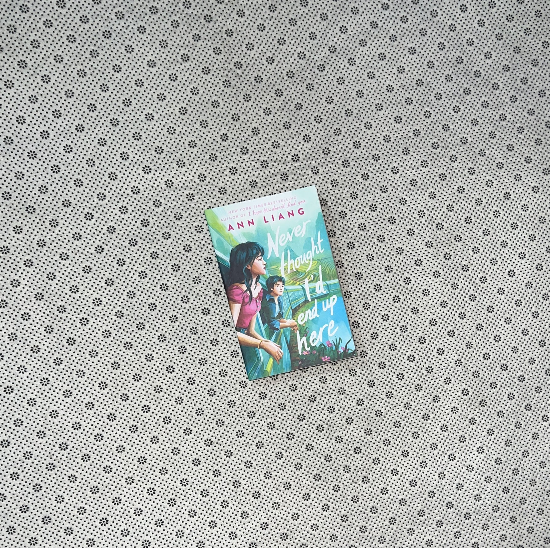 NEVER THOUGHT I'D END UP HERE by Ann Liang