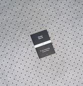 IT WAS SNOWING BUTTERFLIES by Charles Darwin