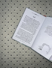 ALCHEMIST (Urdu Edition) by Paulo Coelho