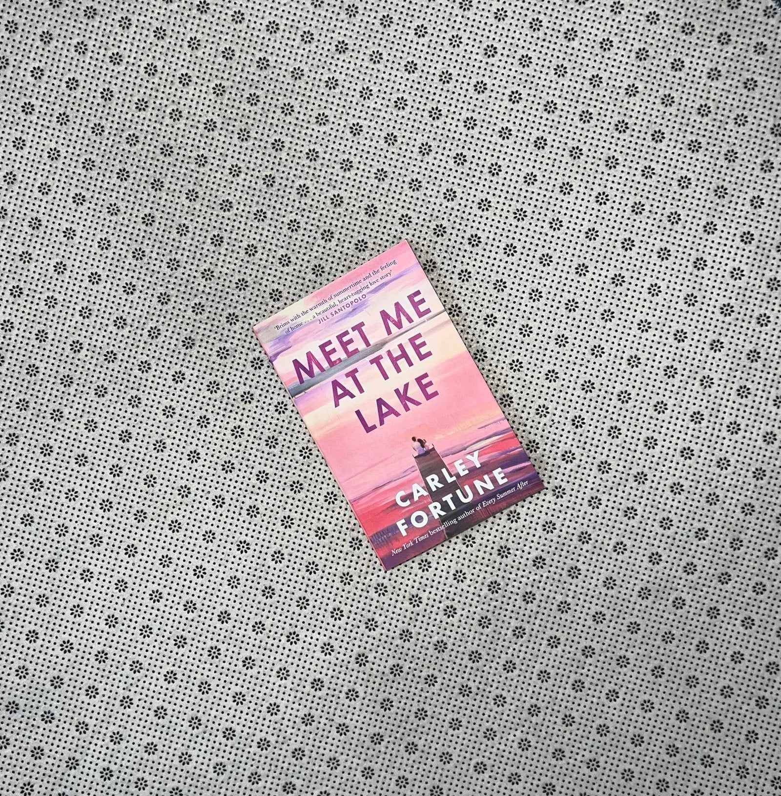 meet me at the lake by carley fortune