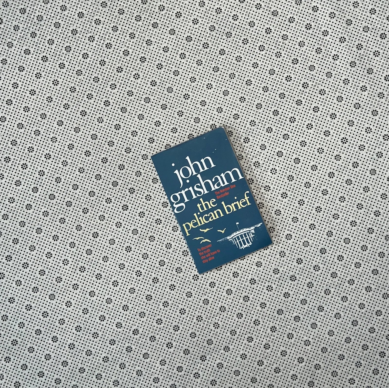 the pelican brief by john grisham