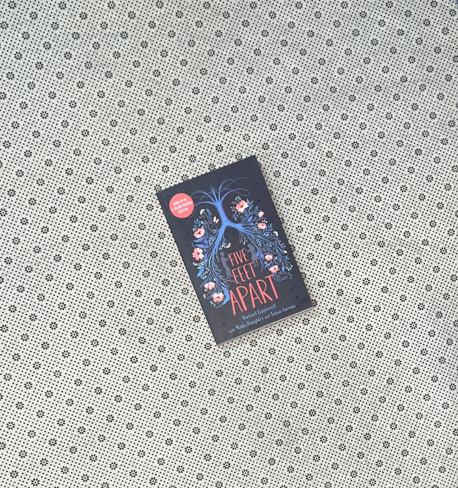 five feet apart by rachael lippincott