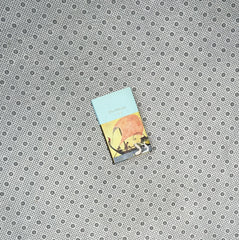 THE ODYSSEY by Homer