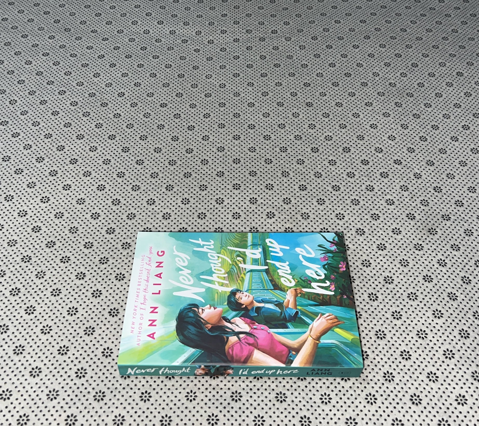 NEVER THOUGHT I'D END UP HERE by Ann Liang