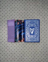 A RIVER ENCHANTED (Deluxe Collector's Edition): Elements Of Cadence (Book 1) by Rebecca Ross