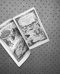 goldfinch the plated prisoner series book 6 by raven kennedy