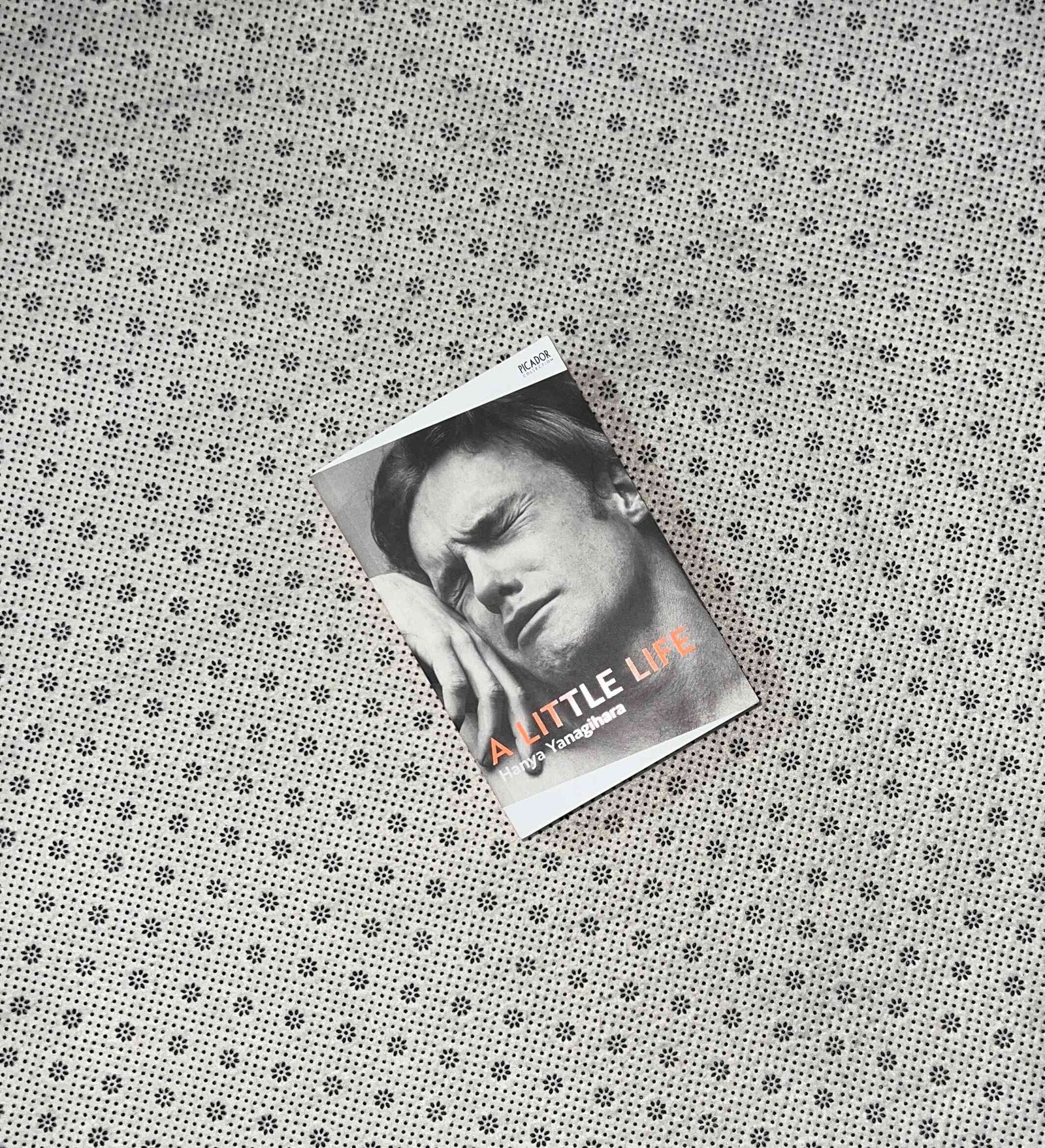 a little life picador collection no 5 by hanya yanagihara