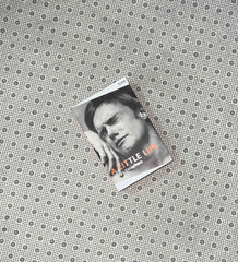 a little life picador collection no 5 by hanya yanagihara