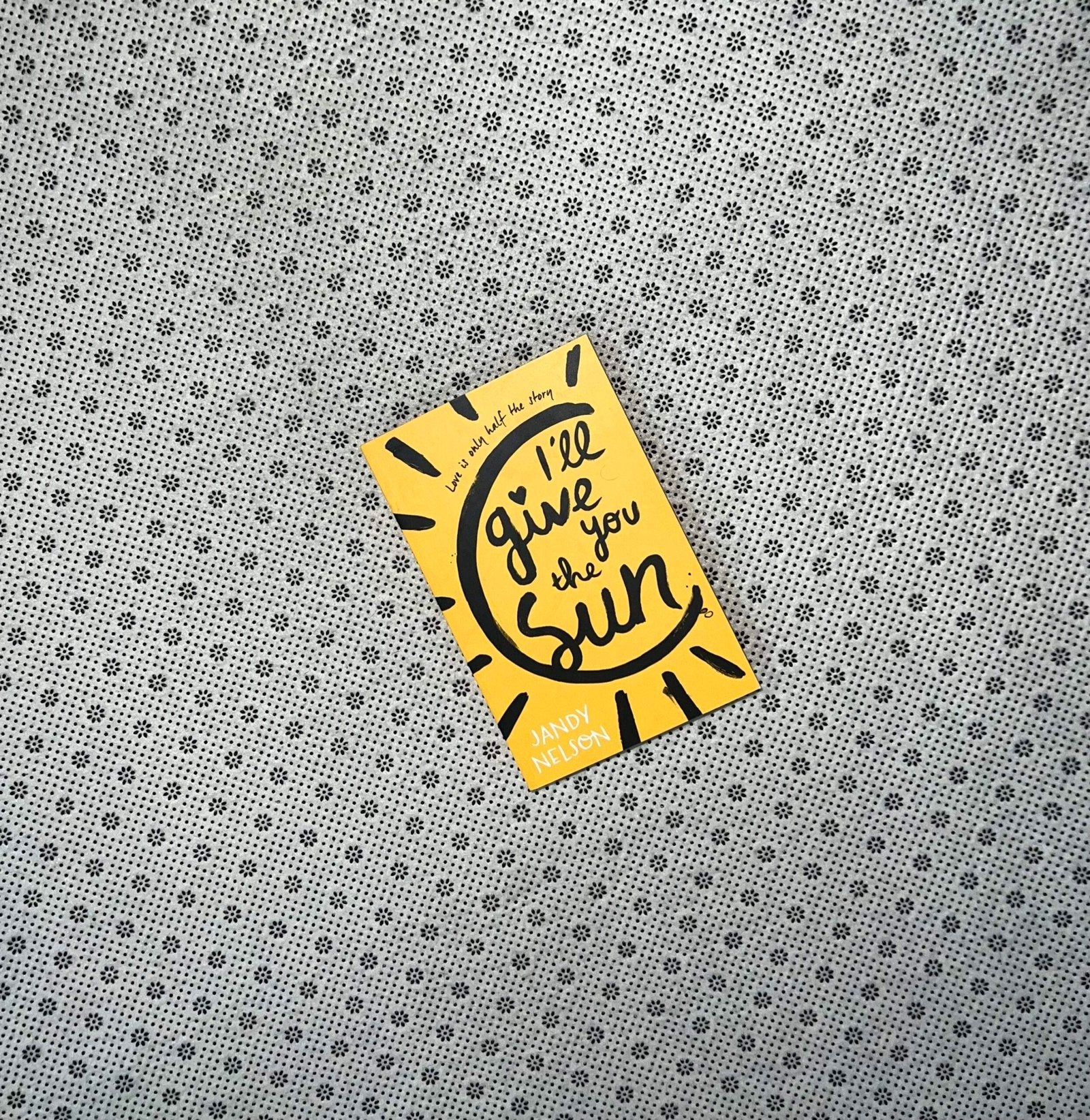 ill give you the sun by jandy nelson