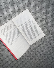 NOBODY KILLED HER by Sabyn Javeri