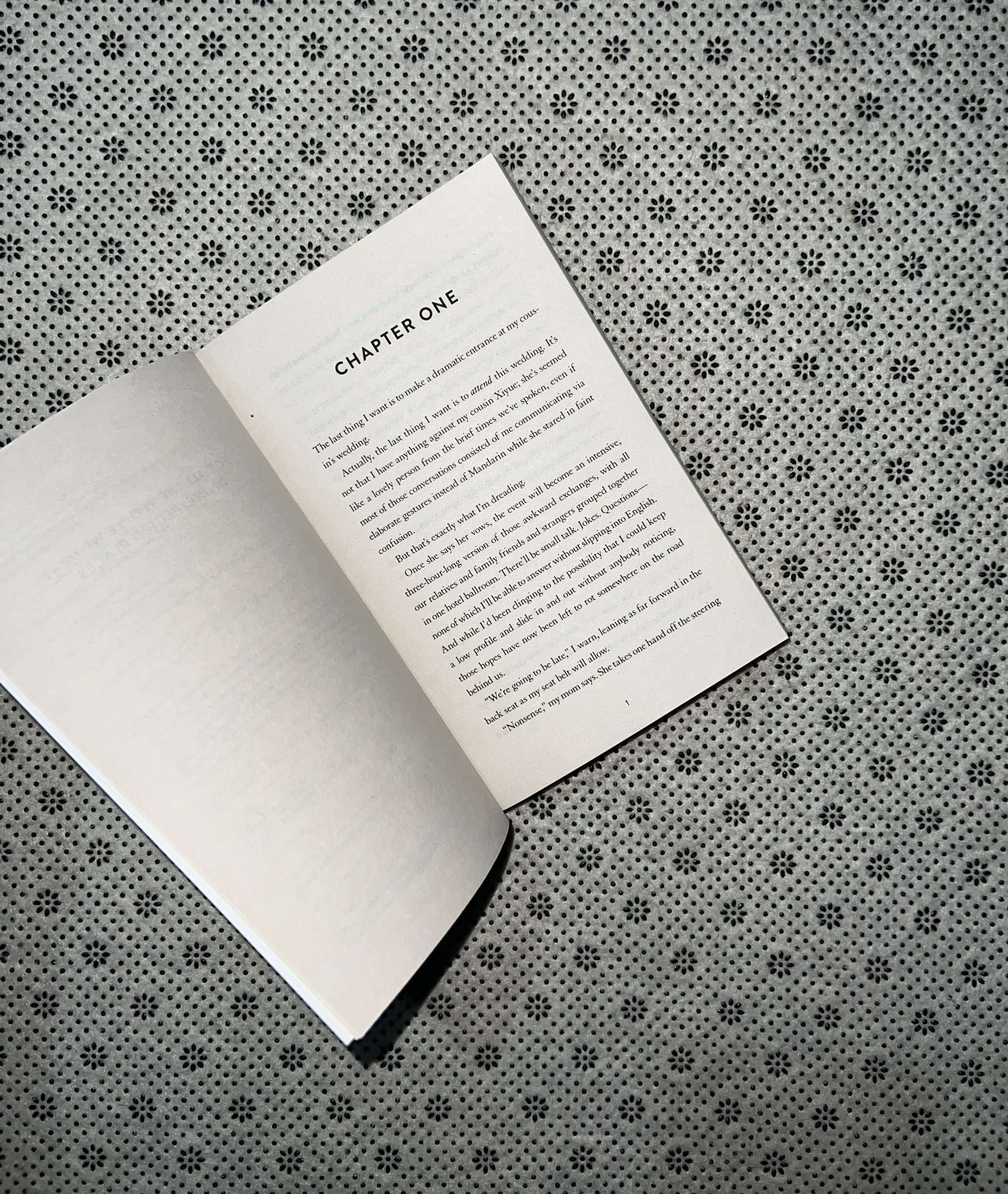 NEVER THOUGHT I'D END UP HERE by Ann Liang