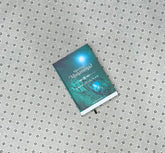 meeting muhammad by omar suleiman