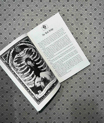 januaries stories of love magic betrayal by olivie blake