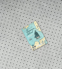 treasure island by robert louis stevenson