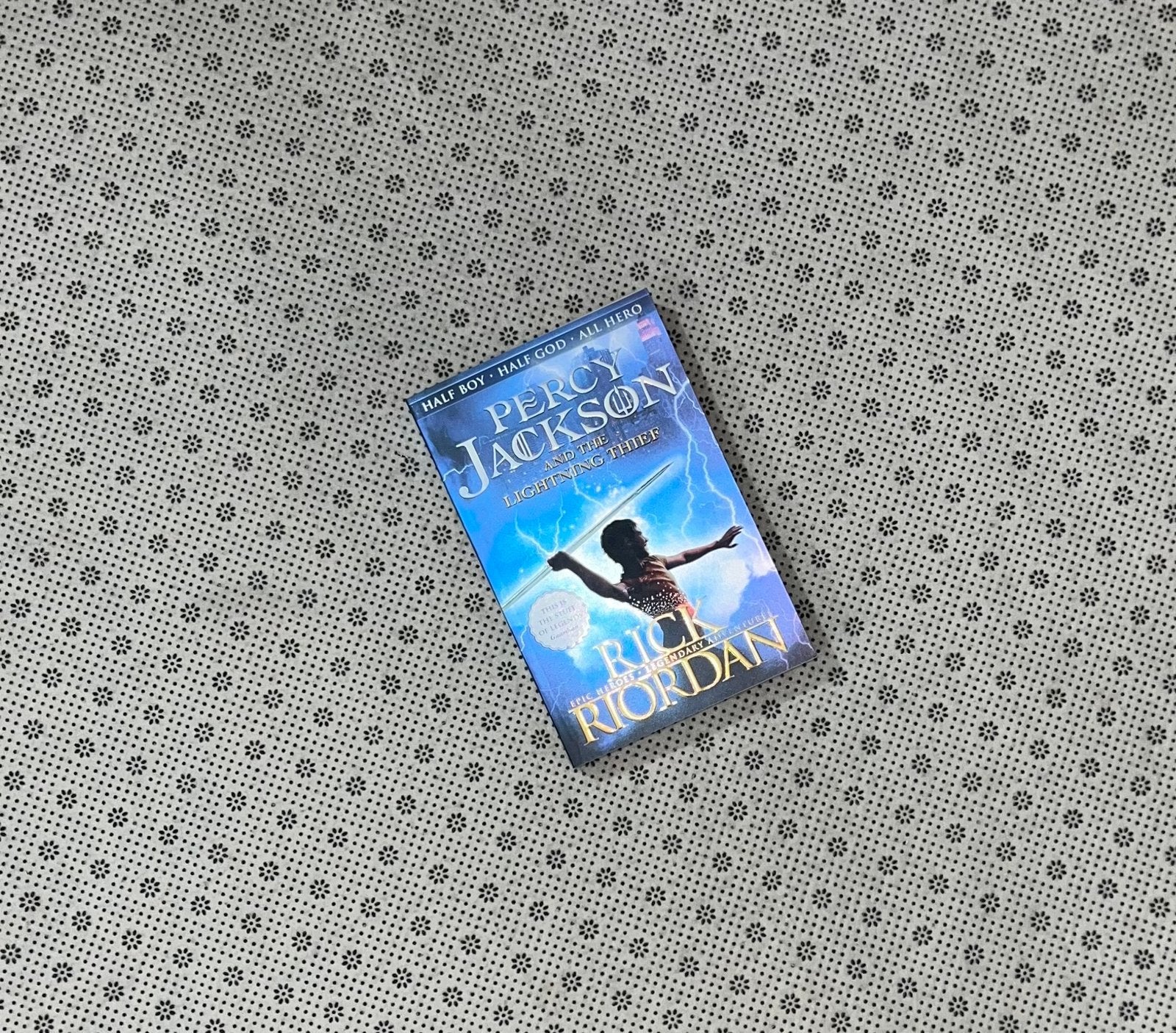 percy jackson and the lightning thief by rick riordan