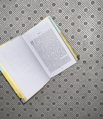 THE ODYSSEY by Homer