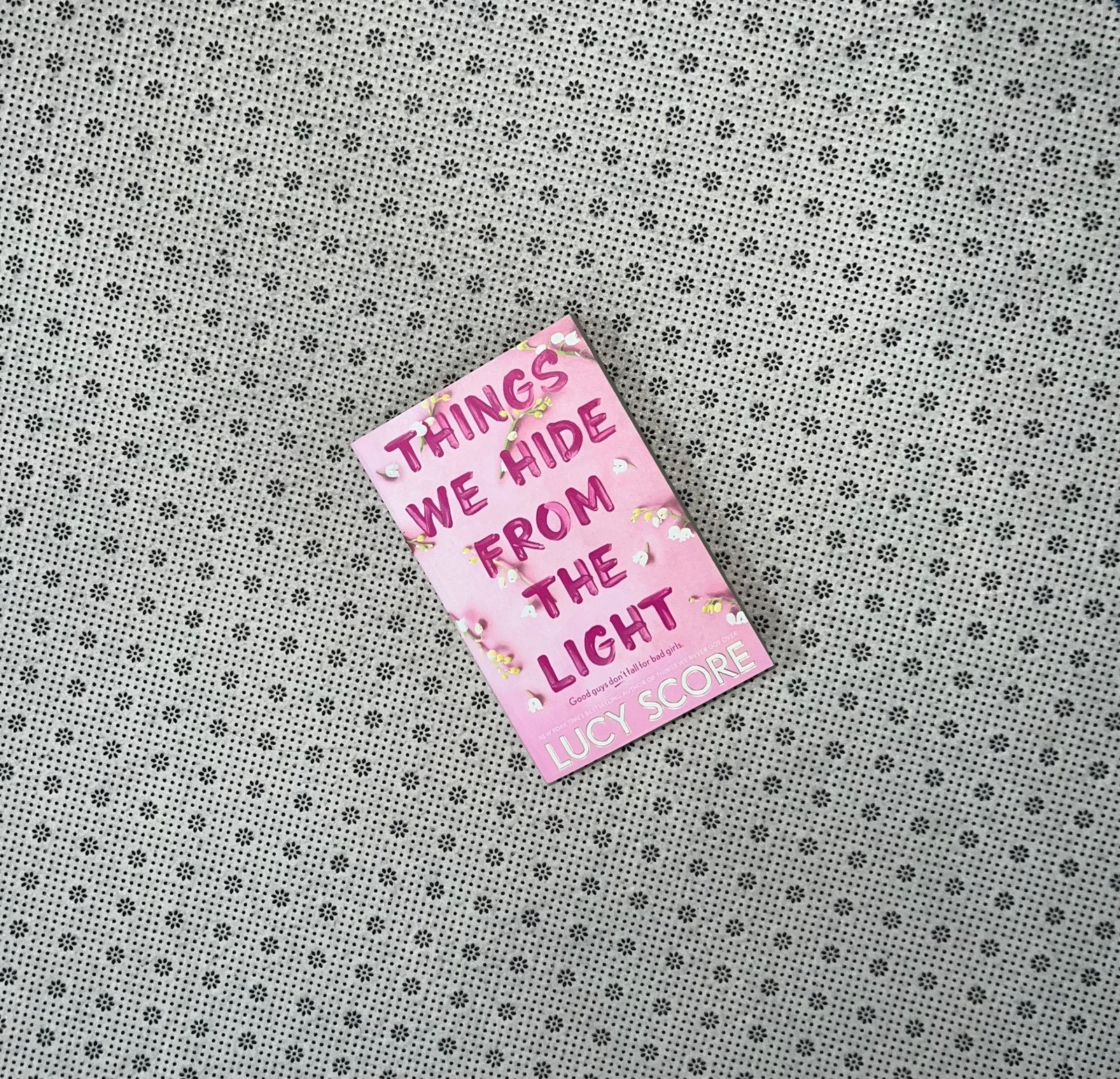 things we hide from the light knockemout series book 2 by lucy score