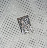 DEMONS (Readings Classics) by Fyodor Dostoyevsky