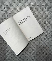 a little life picador collection no 5 by hanya yanagihara