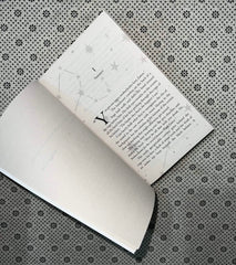 flawless chestnut springs series book 1 by elsie silver