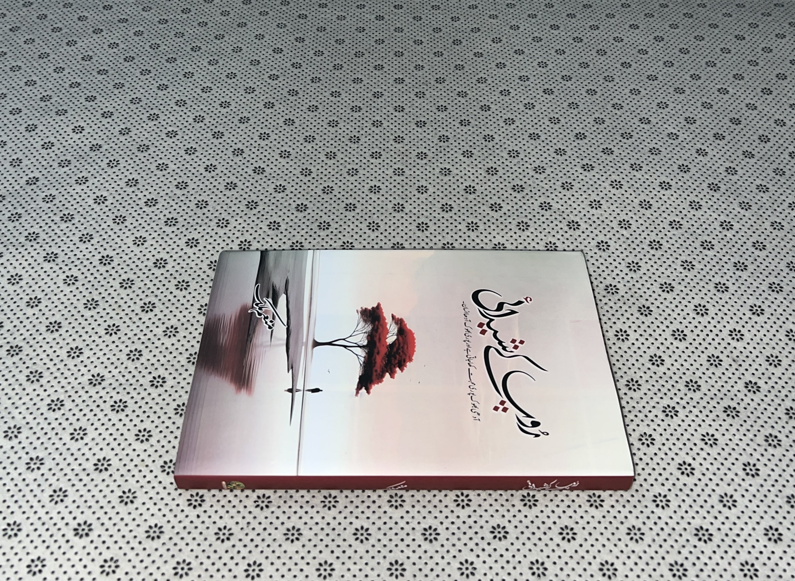 ROOP KAY SHEDAI by Munam Malik