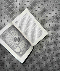 the dawn of the cursed queen gods and monsters series book 3 by amber v nicole