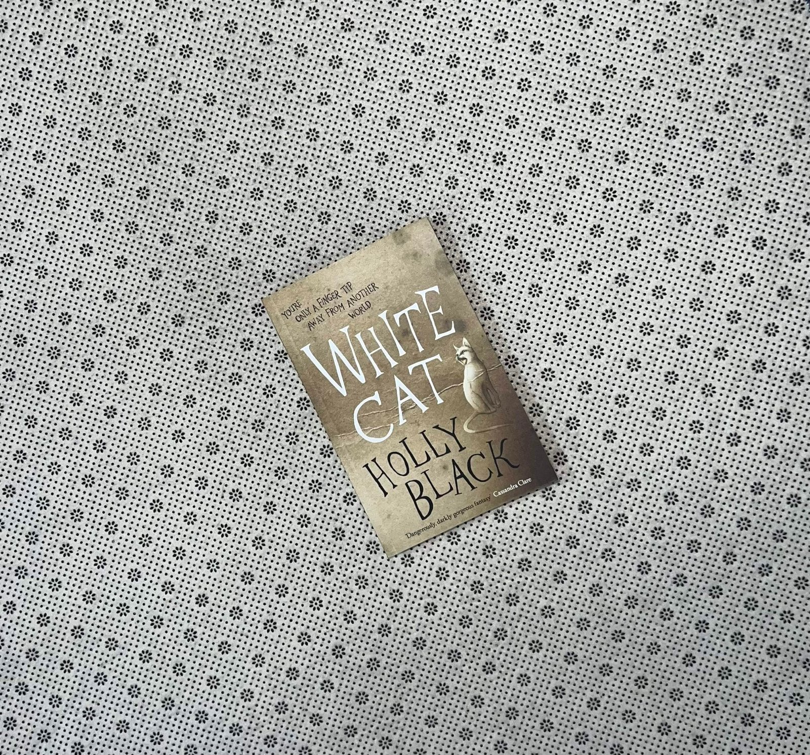 white cat the curse workers series book 1 by holly black