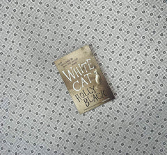 white cat the curse workers series book 1 by holly black