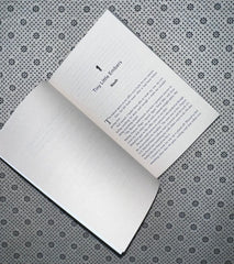 things we hide from the light knockemout series book 2 by lucy score