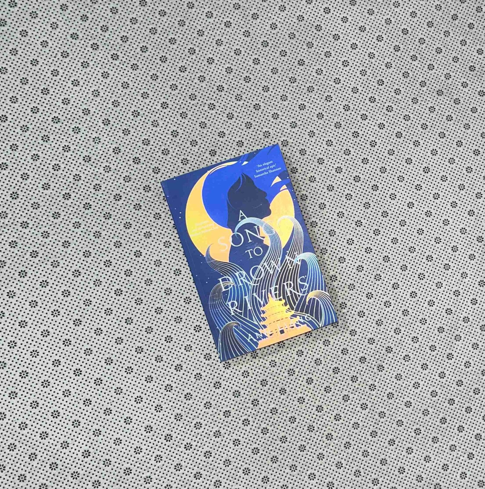 a song to drown rivers by ann liang