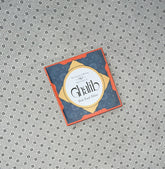 THE TREASURES OF MEANING 50 URDU GHAZALS OF GHALIB by Shah Fazal Abbas