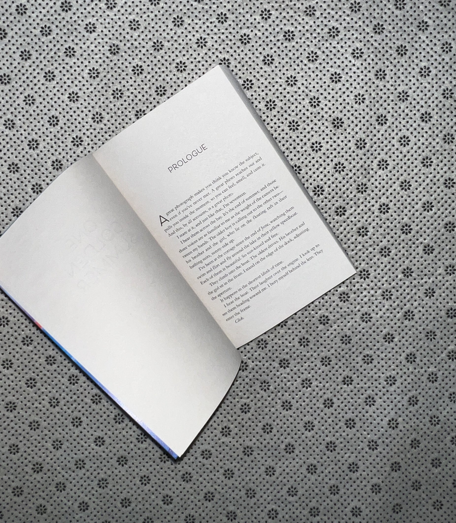 ONE GOLDEN SUMMER by Carley Fortune