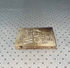 white cat the curse workers series book 1 by holly black