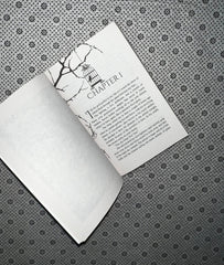 gild plated prisoner series book 1 by raven kennedy