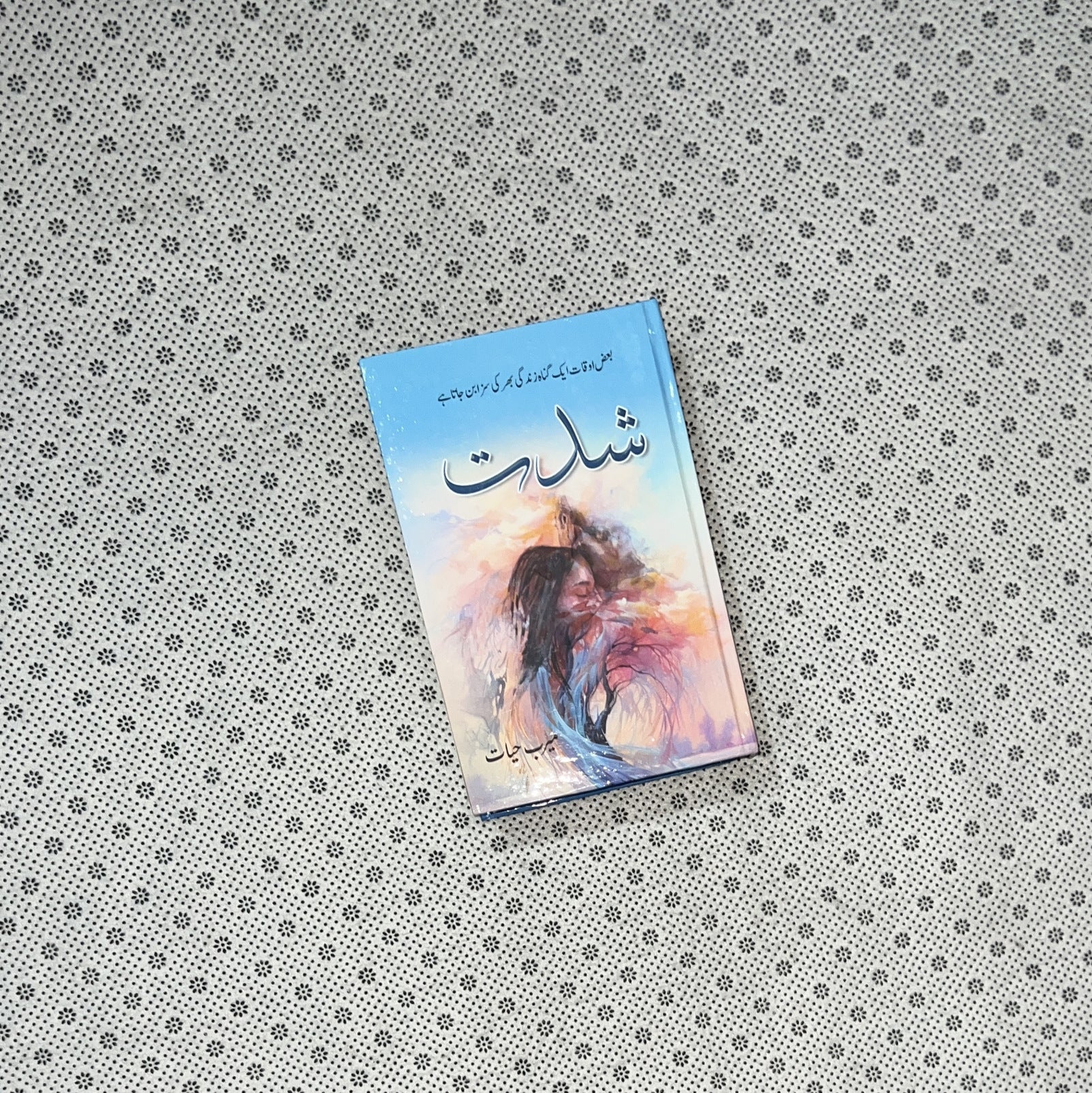 SHIDAT (Part 1) by Meerab Hayat