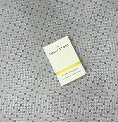 the daily stoic 366 meditations on wisdom perseverance and the art of living by ryan holiday 1