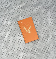 HARRY POTTER AND THE PHILOSOPHER'S STONE by J.K. Rowling