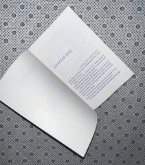 white cat the curse workers series book 1 by holly black