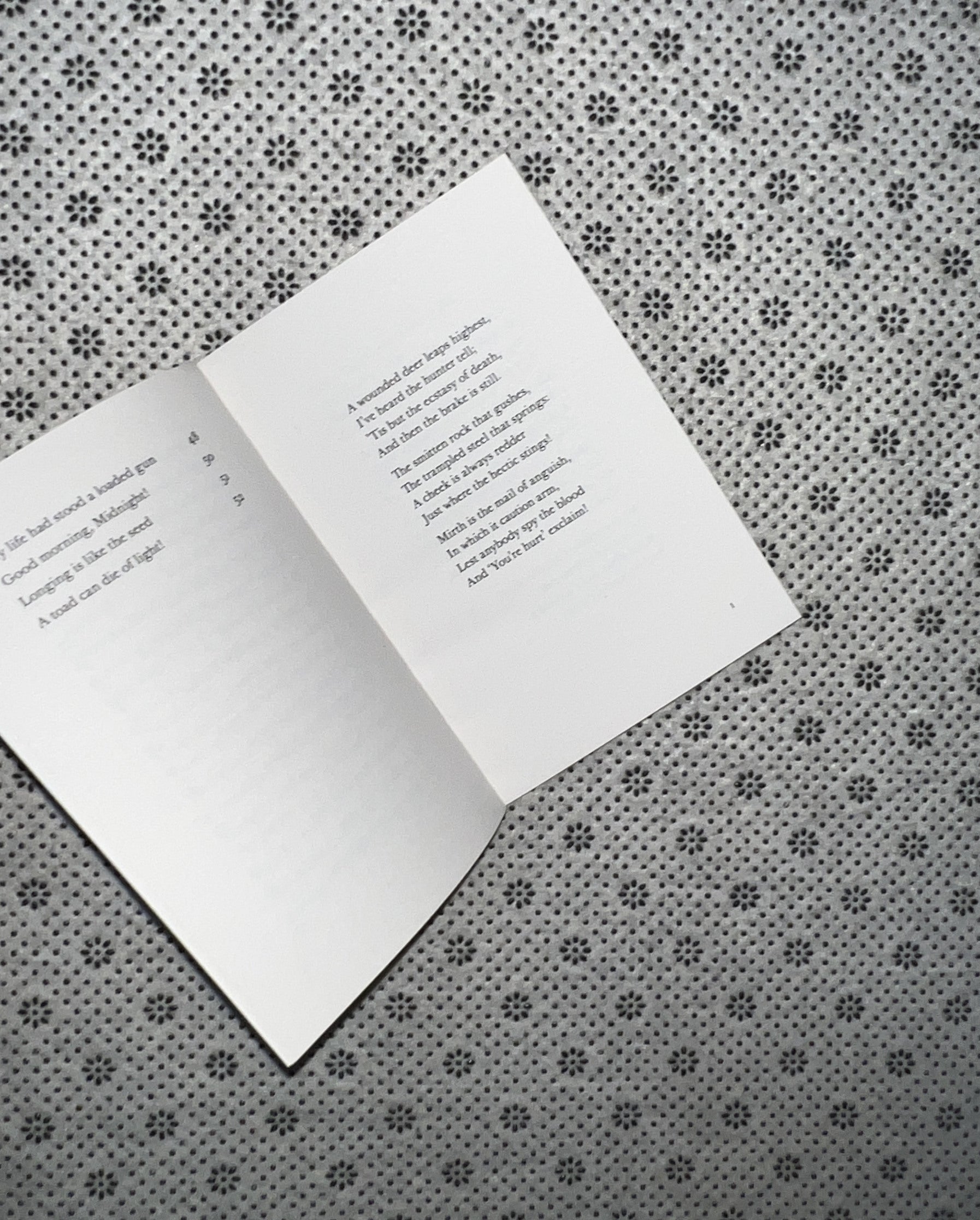 MY LIFE HAD STOOD A LOADED GUN: Little Black Classics 114 by Emily Dickinson