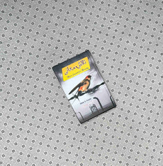 talash e maani mans search for meaning urdu translation by viktor e frankl