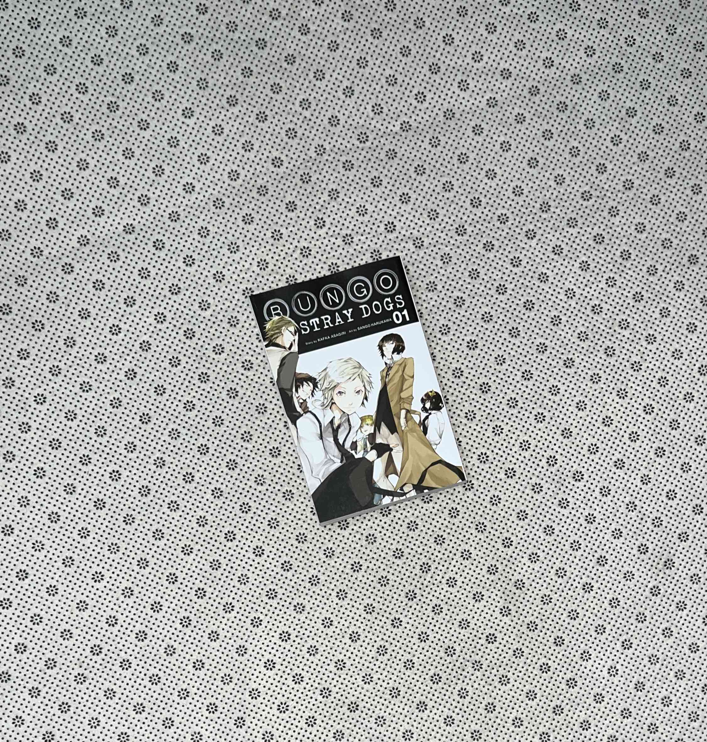 BUNGO STRAY DOGS (Volume 1) by Kafka Asagiri